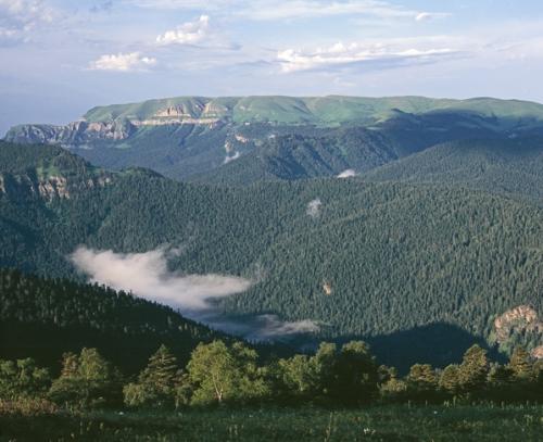 Доклад: Кавказский заповедник